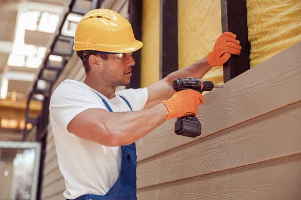 Best Insulated Siding Installation  in Fort Calhoun, NE